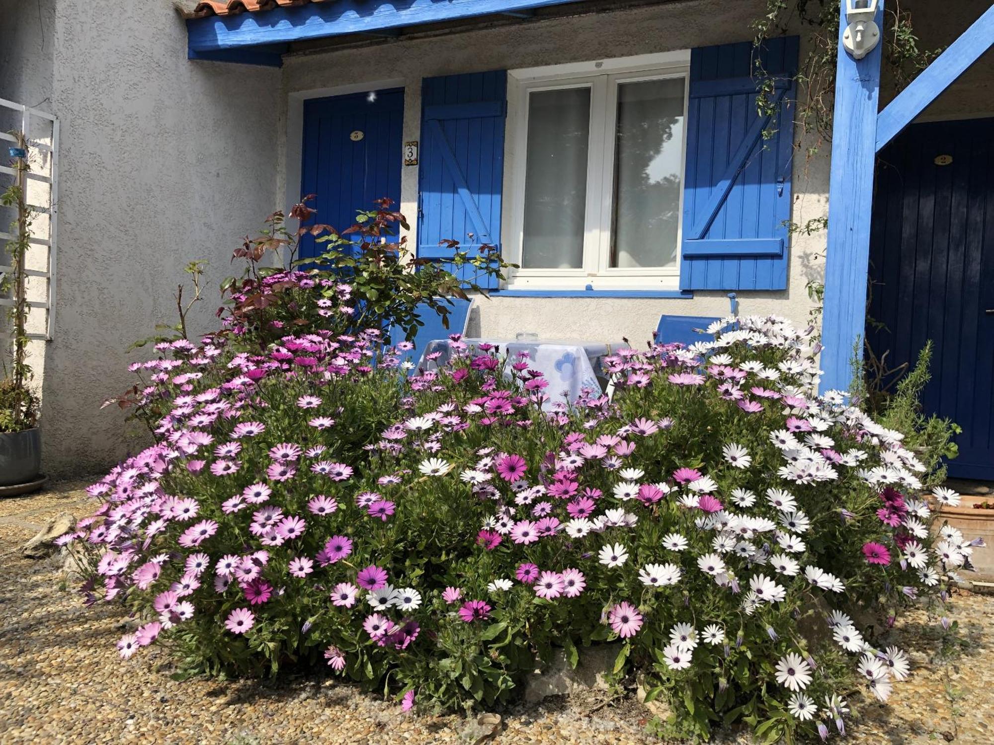 Hotel Des 4 Vents "Esprit Camargue" Aigues-Mortes Ngoại thất bức ảnh